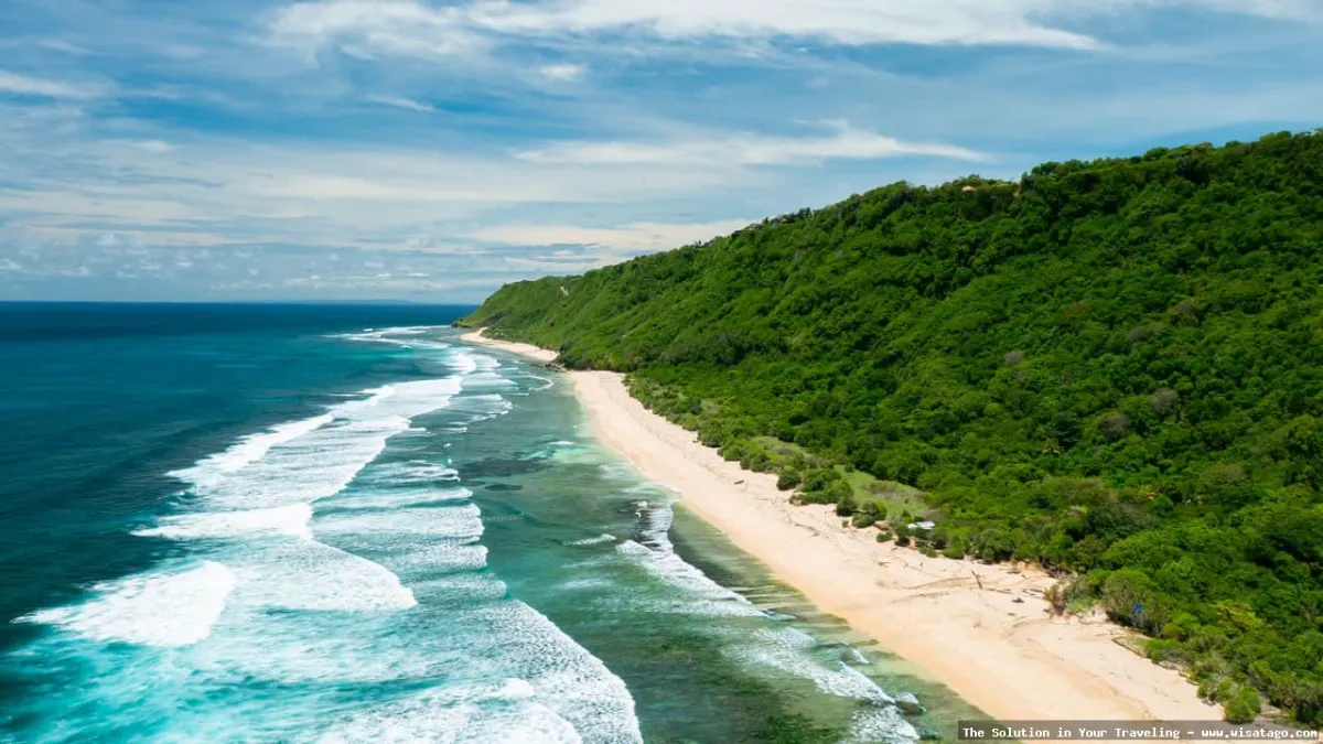 Pantai Nyang Nyang Bali: Tips, Harga Tiket, Kuliner, Lokasi, Fasilitas dan Spot Pantai Nyang Nyang Bali: Tips, Harga Tiket, Kuliner, Lokasi, Fasilitas dan Spot