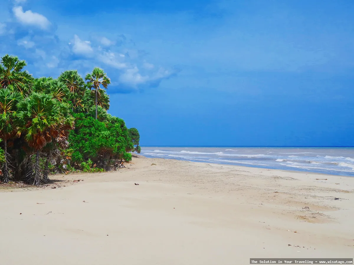 Pantai Oetune, gumuk pasir eksotis.