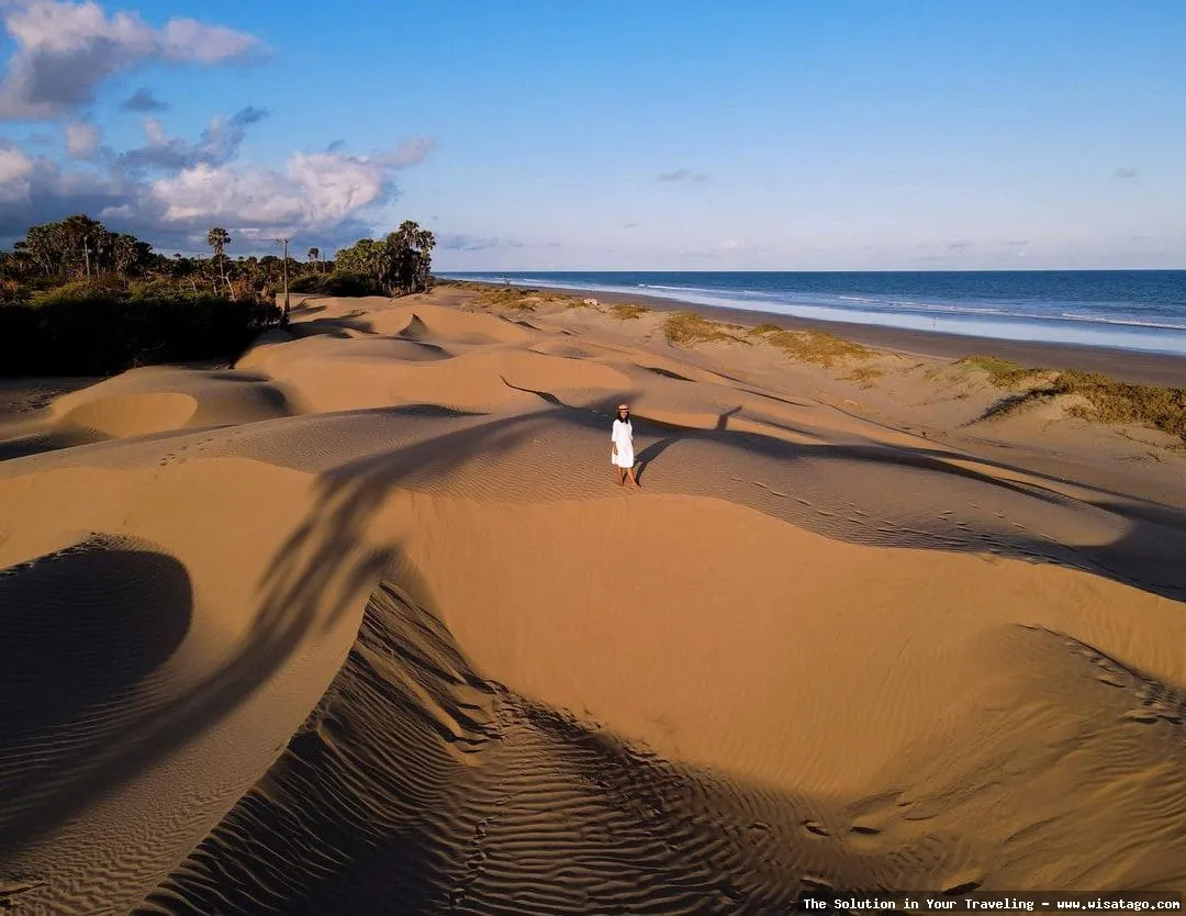 Pantai Oetune, hamparan pasir bergelombang.