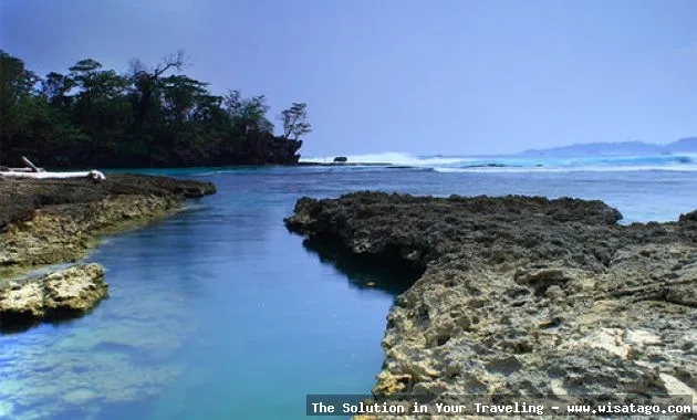 Pantai Ombak Tujuh, pesona alam liar