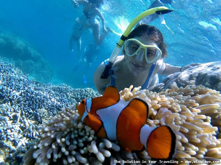 Pantai Ora, surga tersembunyi Maluku