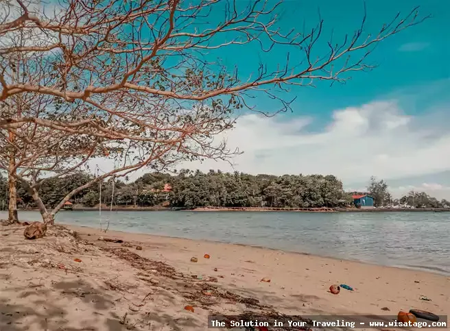 Pantai Palm Springs yang indah menawan
