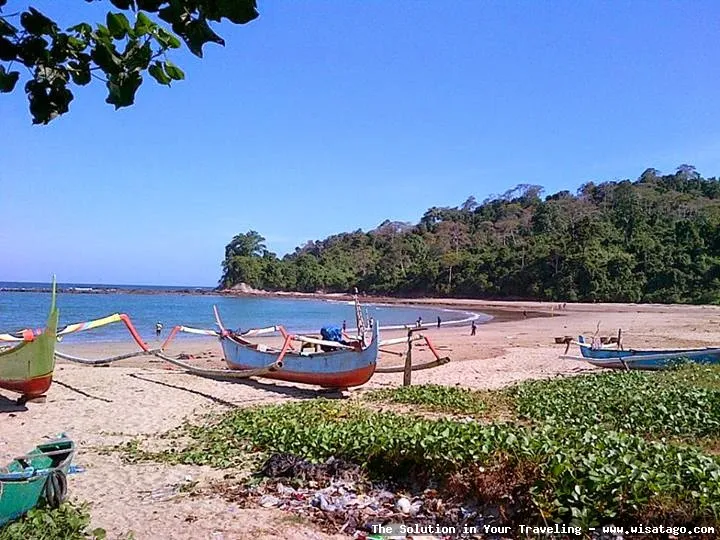 Pantai Pancer, panorama indah pesisir Jawa