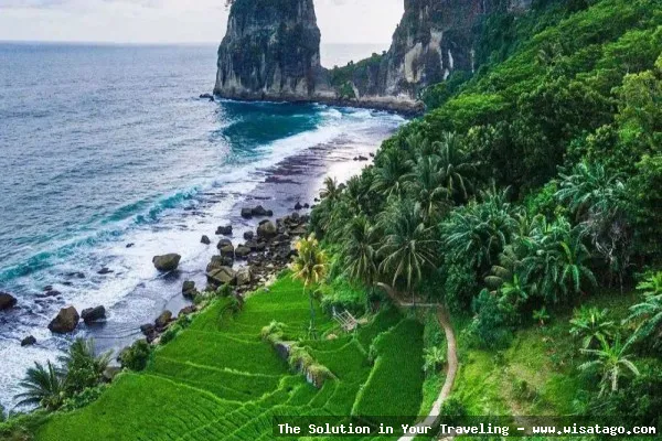Pantai Pangasan: Tips, Harga Tiket, Kuliner, Lokasi, Fasilitas dan Spot Pantai Pangasan: Tips, Harga Tiket, Kuliner, Lokasi, Fasilitas dan Spot