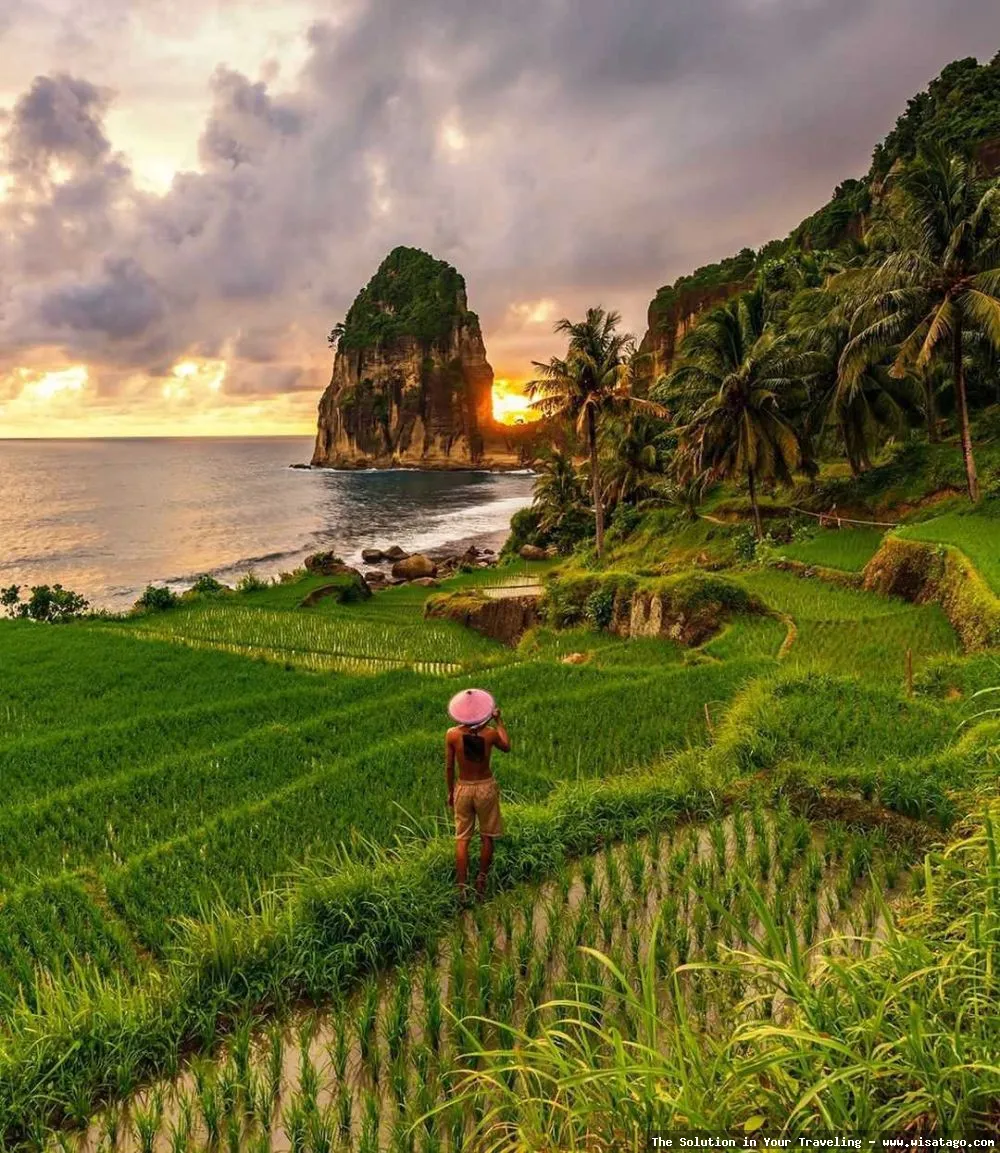 Pantai Pangasan, keindahan alam Kebumen