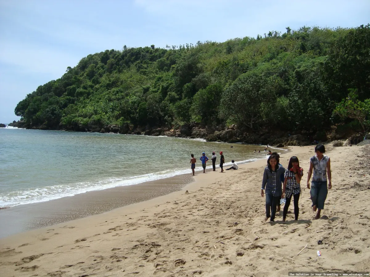 Pantai Pangi: Keindahan alam Blitar