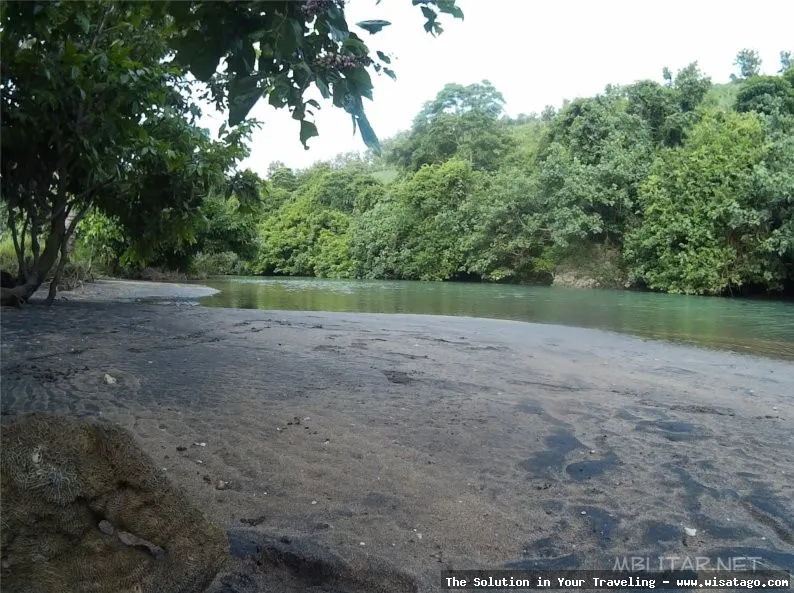 Pantai Pangi: pesona pantai selatan