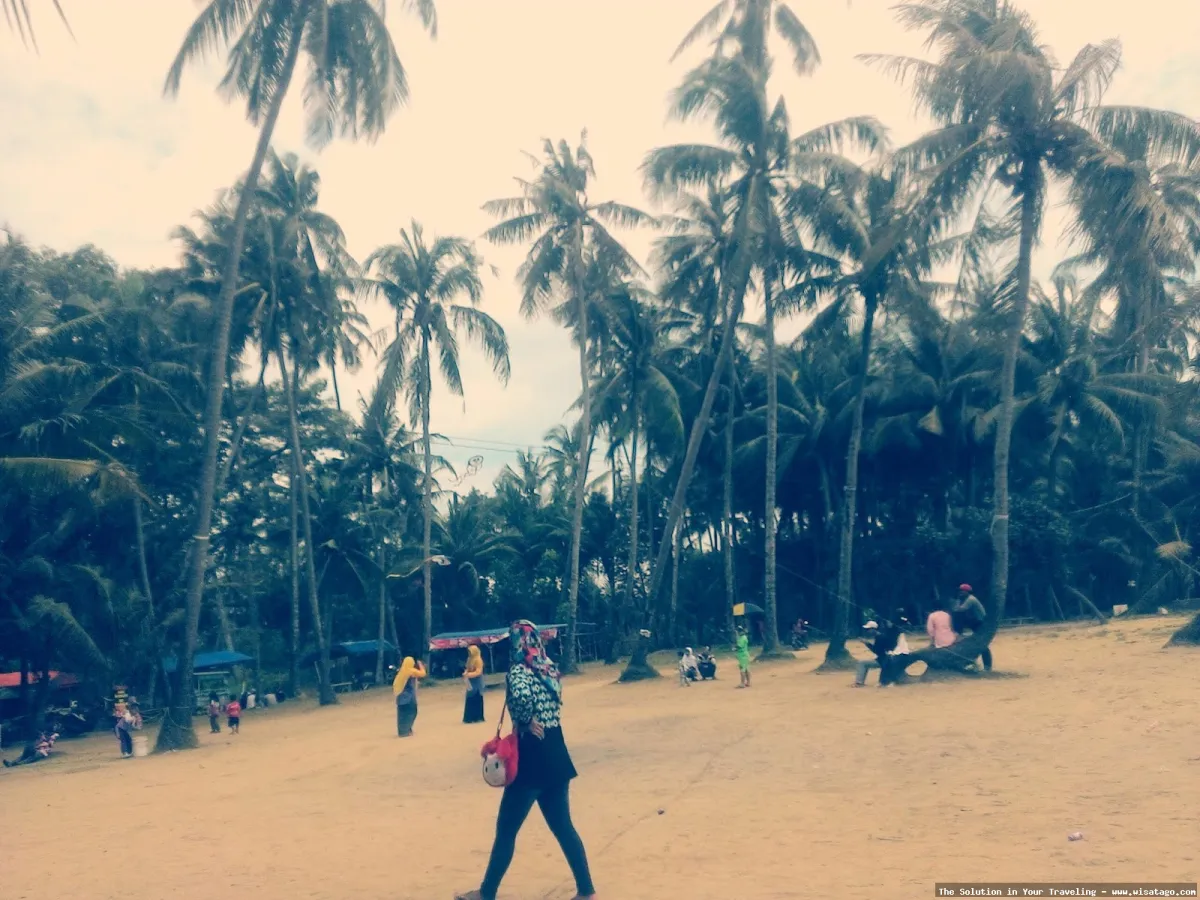 Pantai Panyuran, keindahan pesisir Tuban