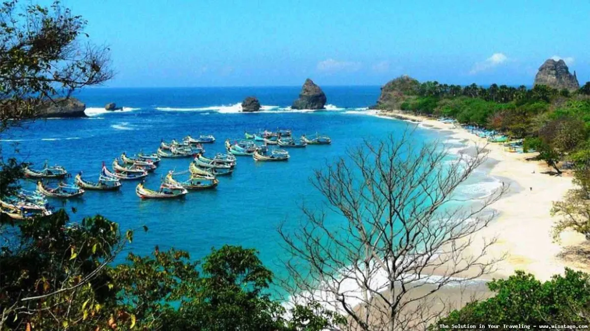 Pantai Papuma Jember, pasir putih eksotis