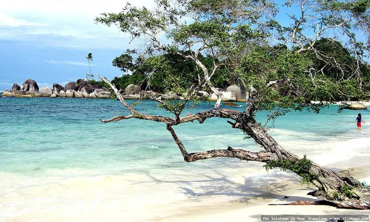 Pantai Pasir Putih yang memukau indah