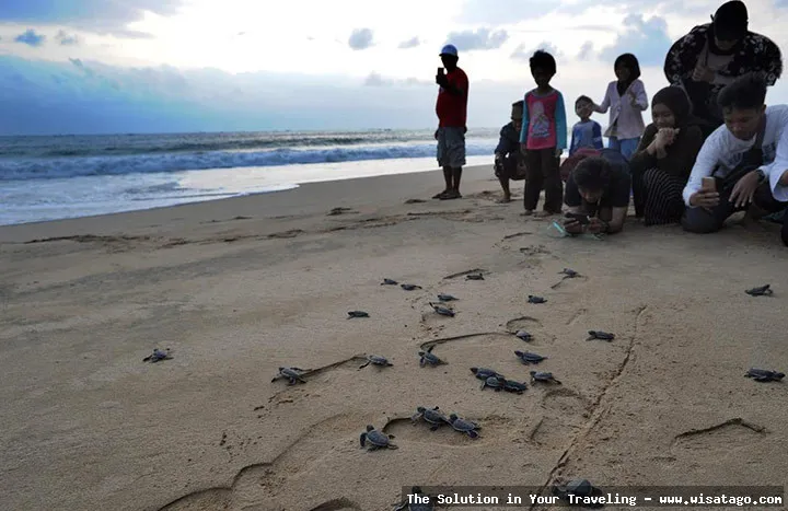 Pantai Pelangi dengan pasir berwarna-warni