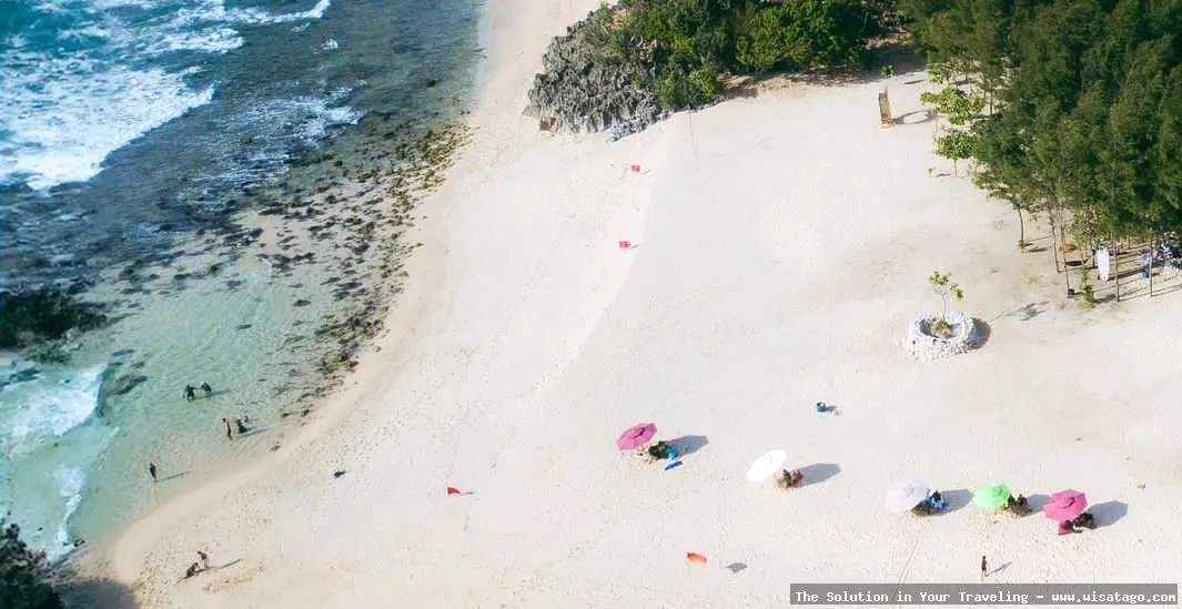 Pantai Penyu, habitat penyu bertelur