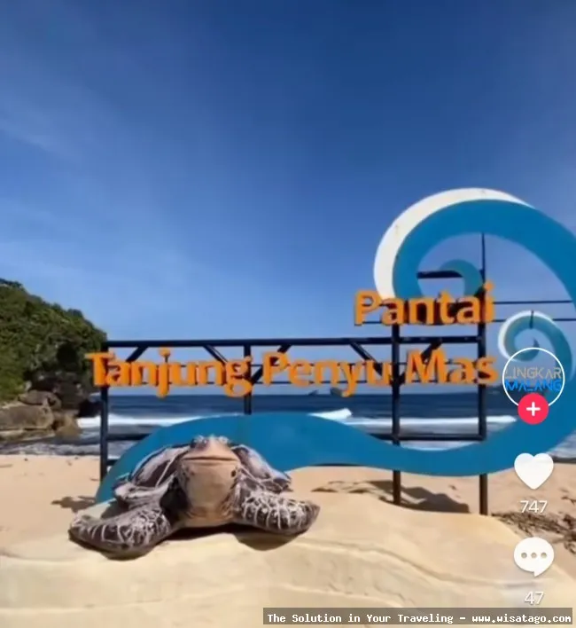 Pantai Penyu, pasir putih yang indah