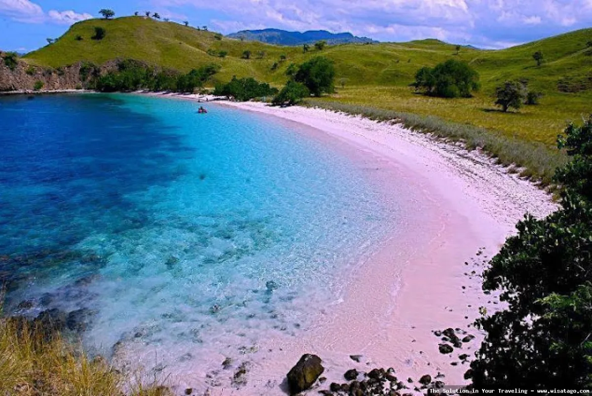 Pantai Pink Lombok: Tips, Harga Tiket, Kuliner, Lokasi, Fasilitas dan Spot Pantai Pink Lombok: Tips, Harga Tiket, Kuliner, Lokasi, Fasilitas dan Spot