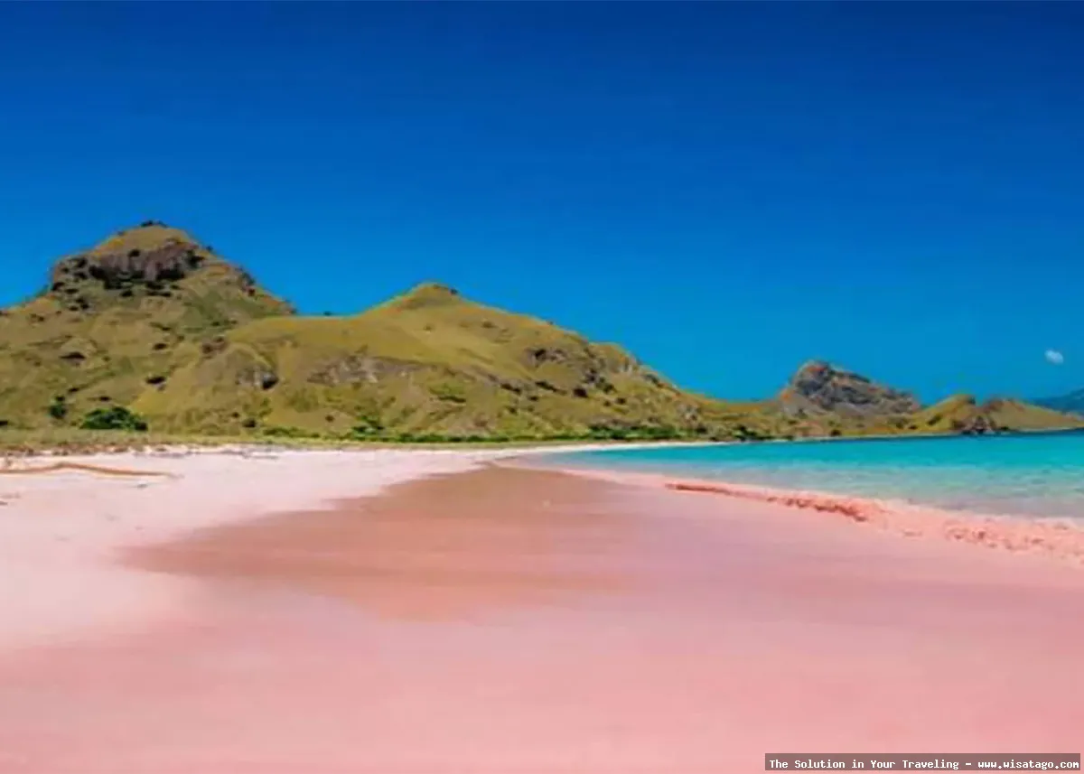 Pantai Pink Lombok, pasir merah muda