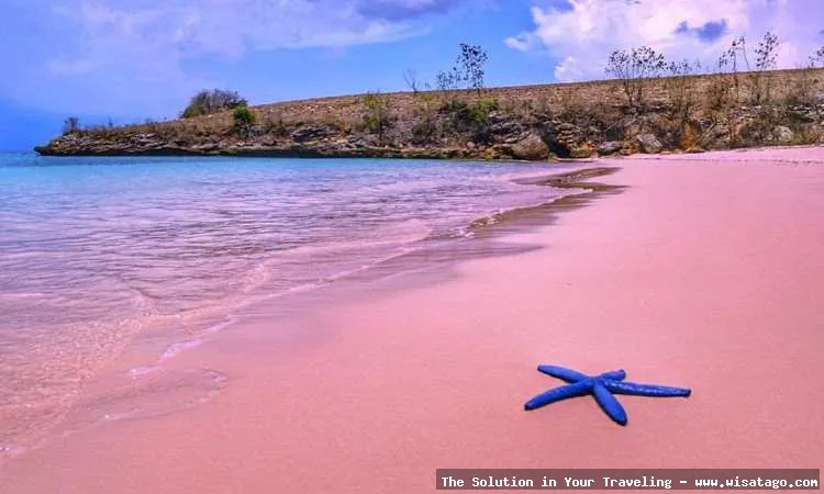 Pantai Pink Lombok yang memesona