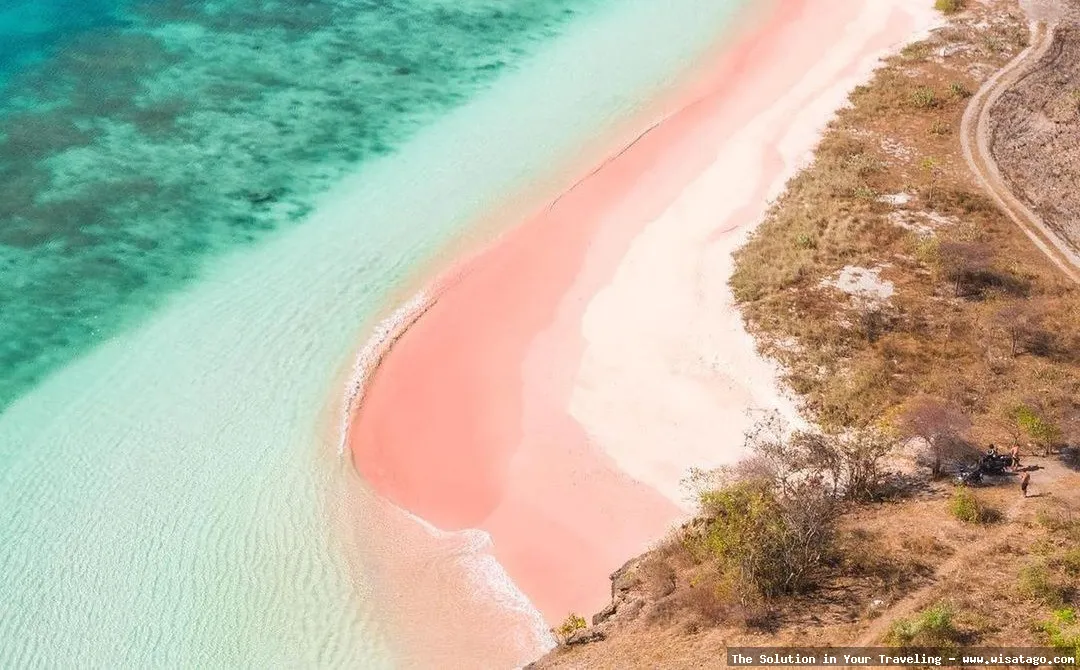 Pantai Pink Lombok, pasir merah muda