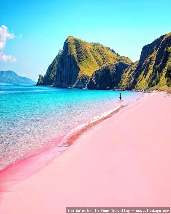 Pantai Pink Lombok, pasir merah muda