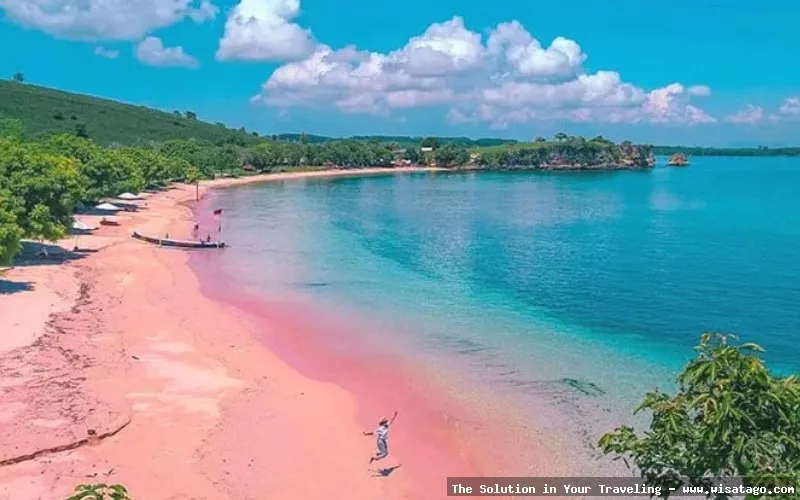 Pantai Pink Lombok yang memukau