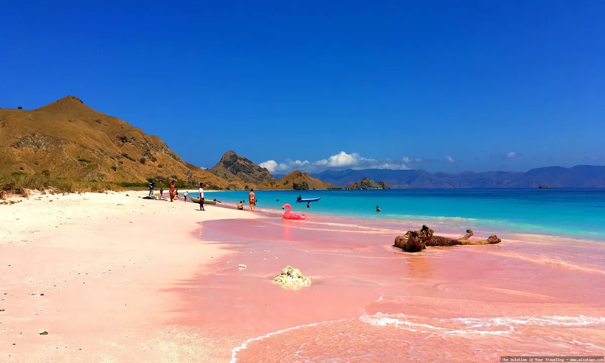 Pantai Pink Lombok, pasir merah muda