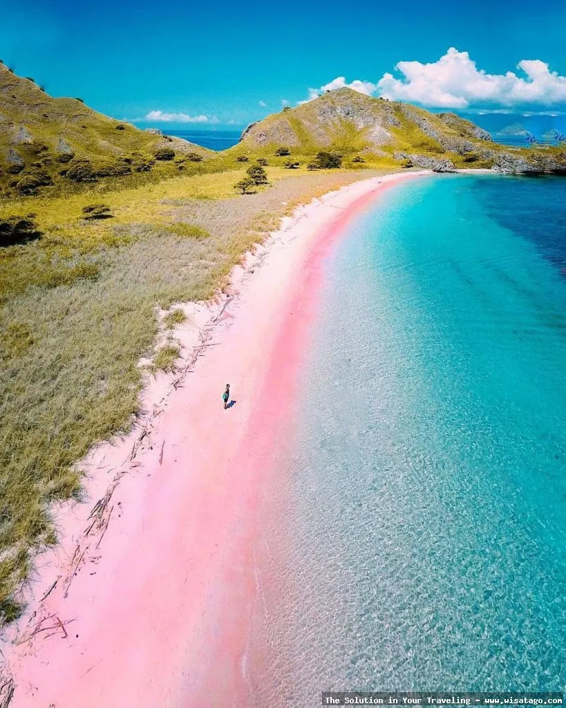 Pantai Pink Lombok yang menawan