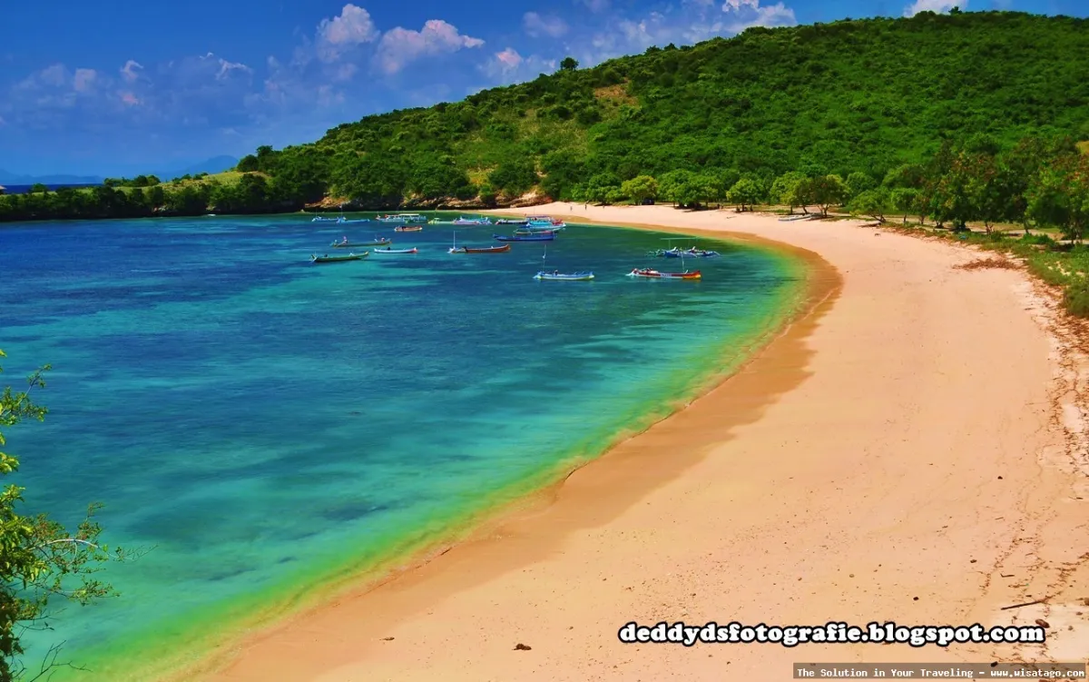 Pantai Pink Lombok yang menawan