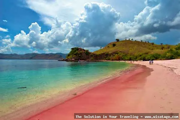 Pantai Pink Lombok yang memukau