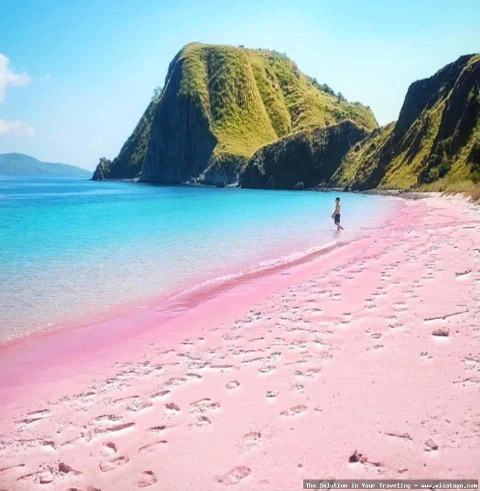 Pantai Pink Lombok, pasir merah muda