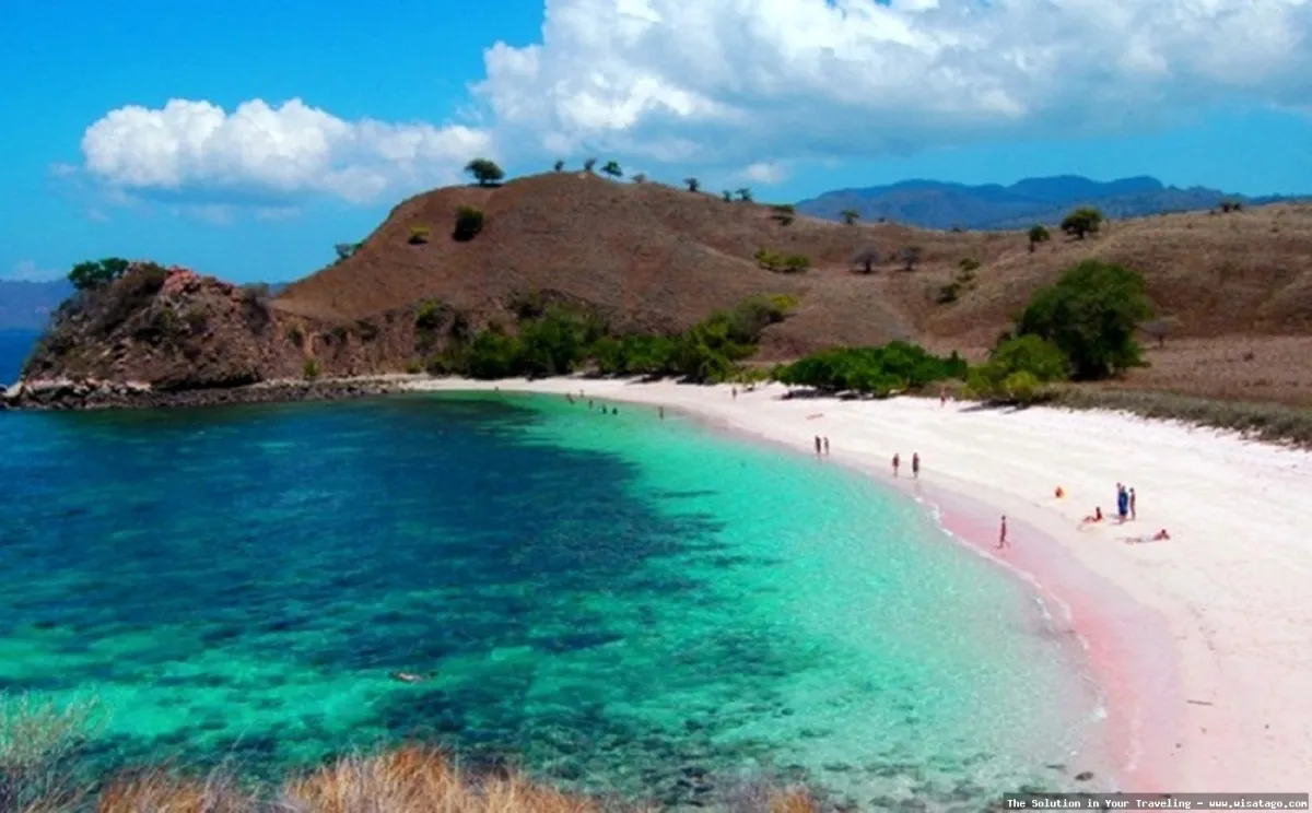 Pantai Pink Lombok yang menawan