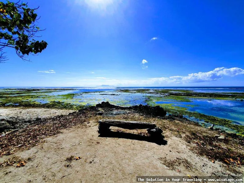 Pantai Plengkung: Tips, Harga Tiket, Kuliner, Lokasi, Fasilitas dan Spot Pantai Plengkung: Tips, Harga Tiket, Kuliner, Lokasi, Fasilitas dan Spot