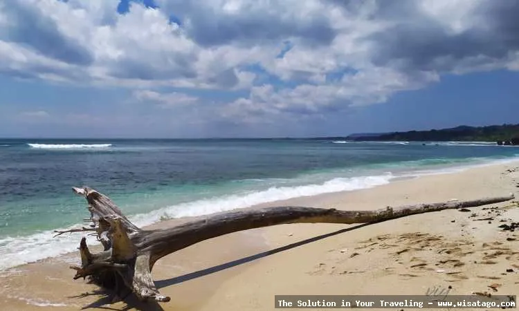 Pantai Plengkung: surga peselancar dunia