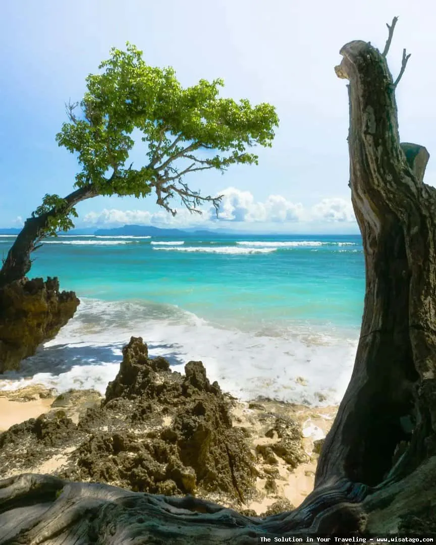 Pantai Plengkung, ombak menantang peselancar