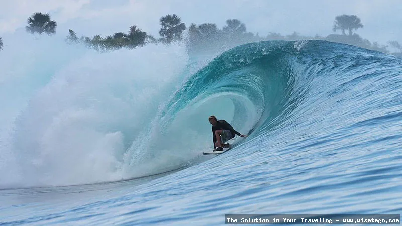 Pantai Plengkung Banyuwangi surga peselancar dunia