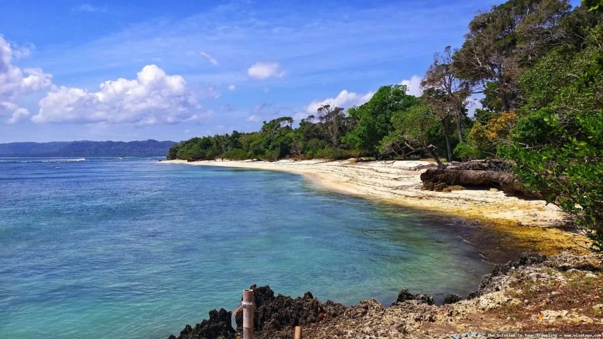 Pantai Plengkung Banyuwangi, surga peselancar dunia