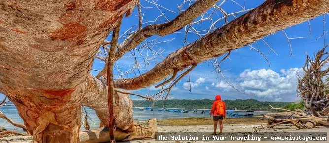 Pantai Plengkung Banyuwangi: surga peselancar dunia