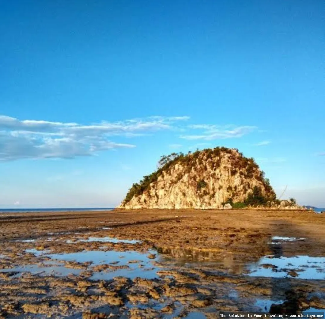 Pantai Sahi: keindahan pantai eksotis.