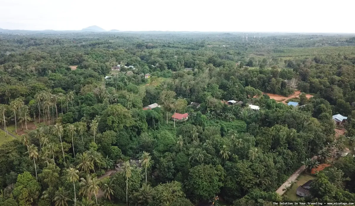Pantai Sebong Pereh yang indah menawan