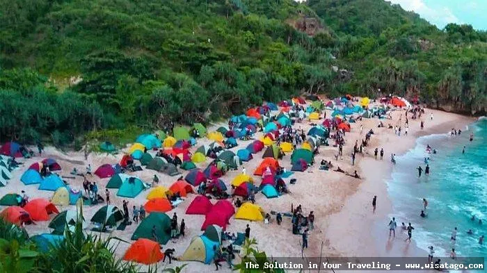 Pantai Sedahan Gunungkidul, pasir putih alami