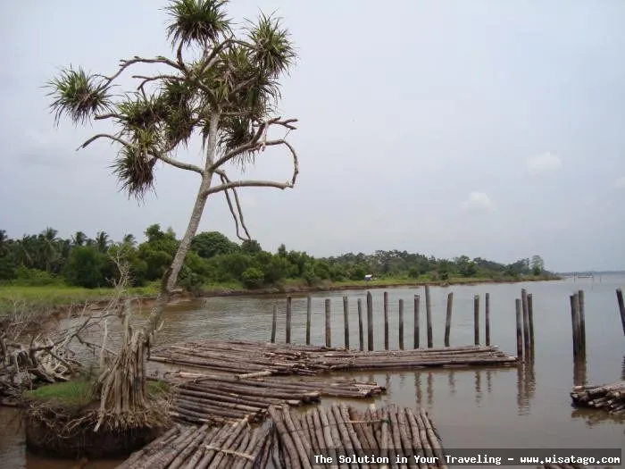 Pantai Selat Rangsang: pesona alam indah