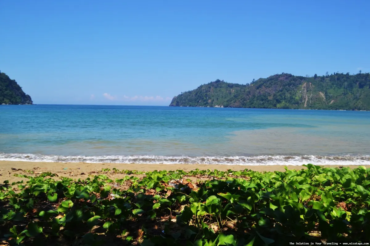 Pantai Sipelot Malang, pesona alam.