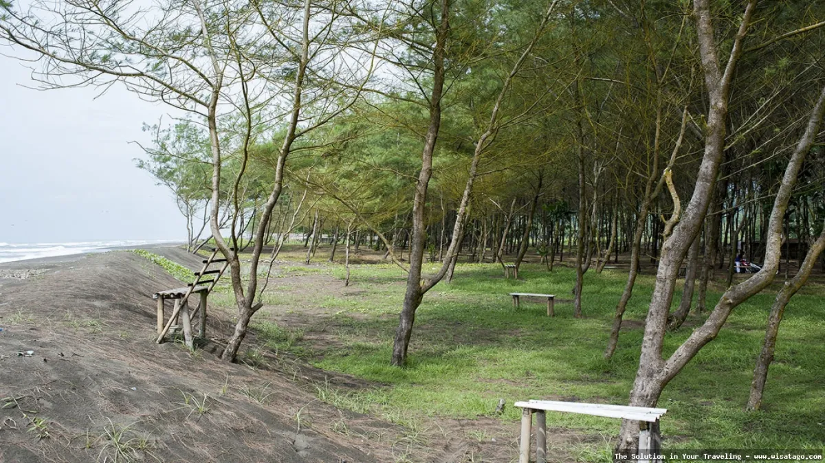Pantai Sodong: Keindahan alam memukau