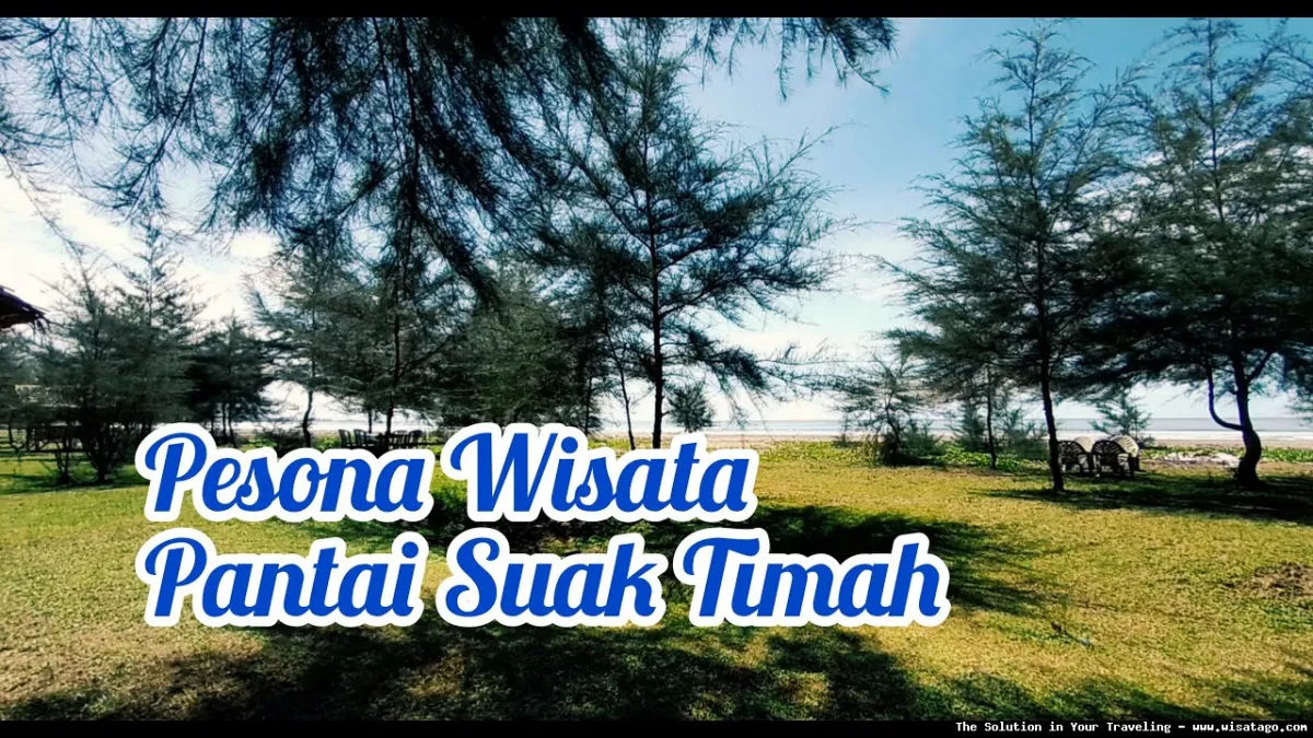 Pantai Suak Baru yang mempesona alami.