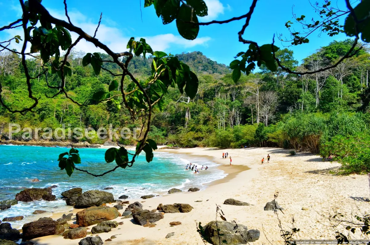 Pantai Sukamade: Surga penyu bertelur
