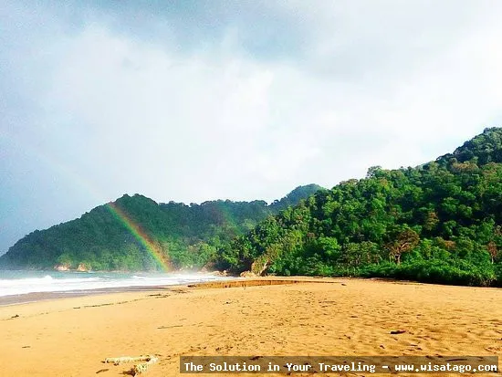 Pantai Sukamade, surga penyu bertelur