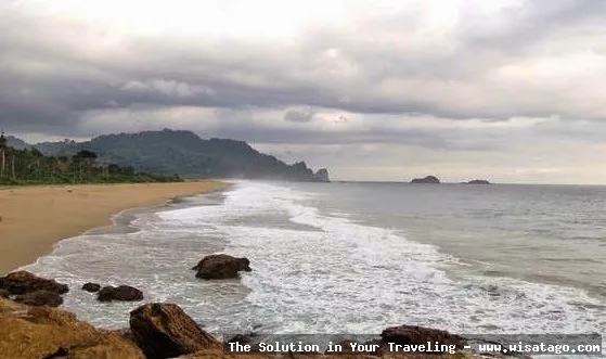 Pantai Sukamade, surga konservasi penyu