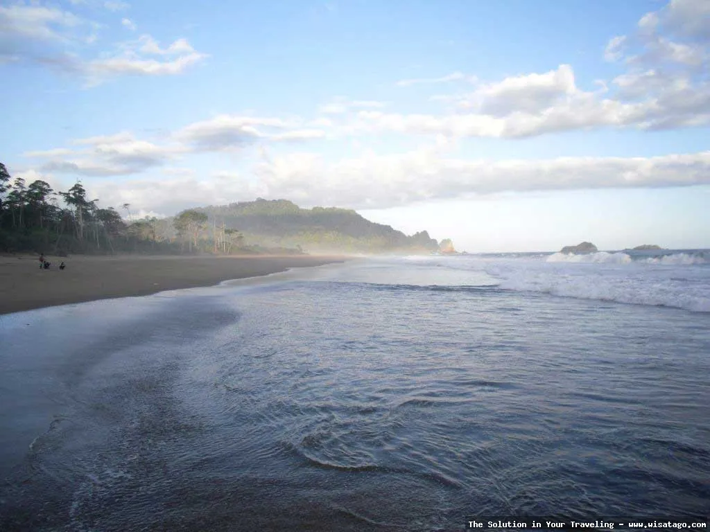 Pantai Sukamade: keindahan alam lestari