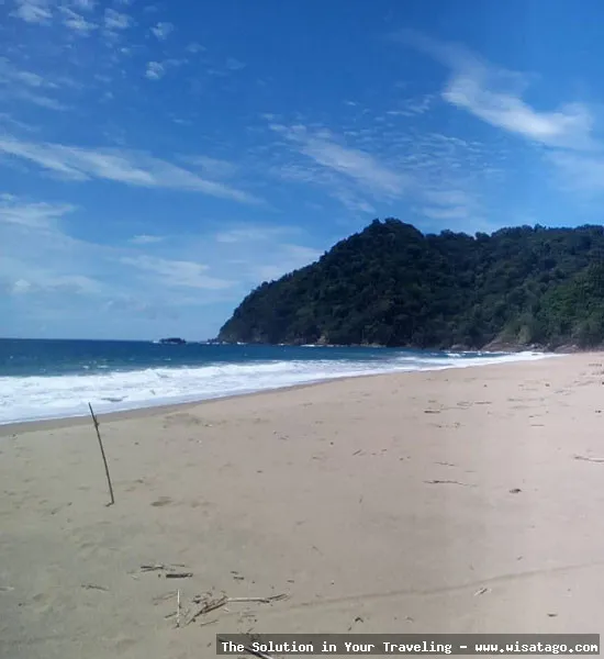 Pantai Sukamade, surga penyu bertelur.