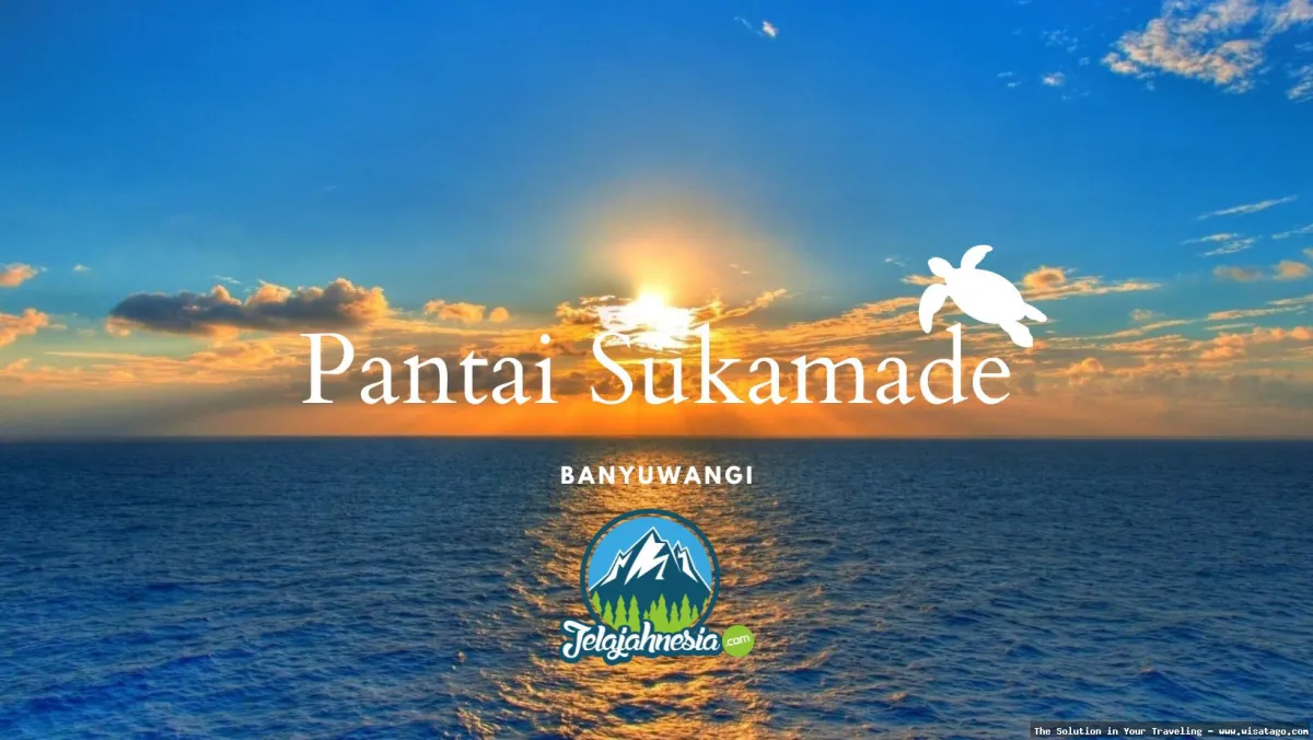 Pantai Sukamade, surga penyu bertelur