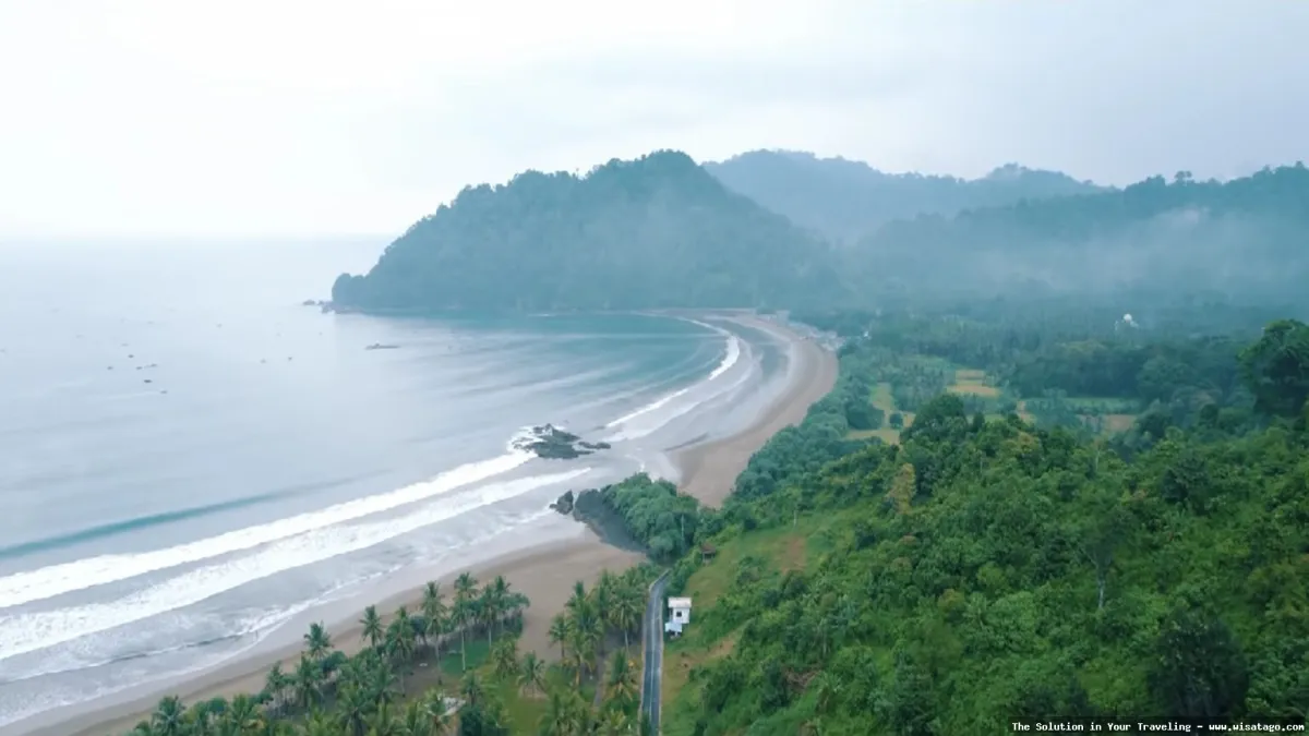 Pantai Sukamade, surga penyu bertelur