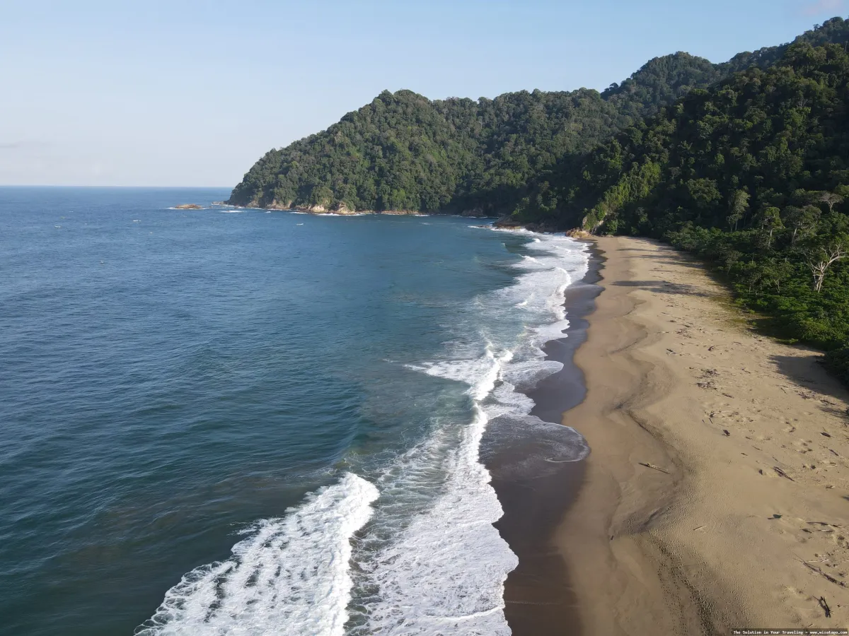 Pantai Sukamade, surga penyu bertelur
